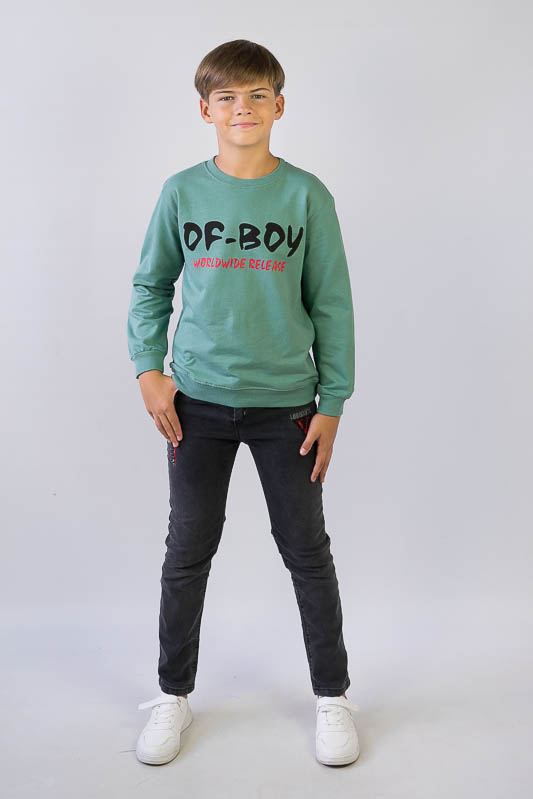 Світшот підлітковий для хлопчиків 503-308