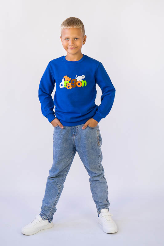 Світшот для хлопчиків 503-358