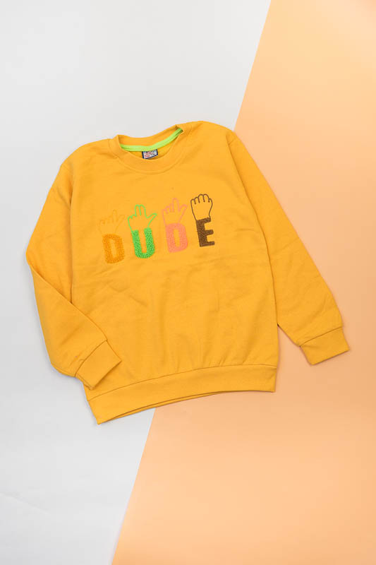 Світшот для хлопчиків 55-503-359