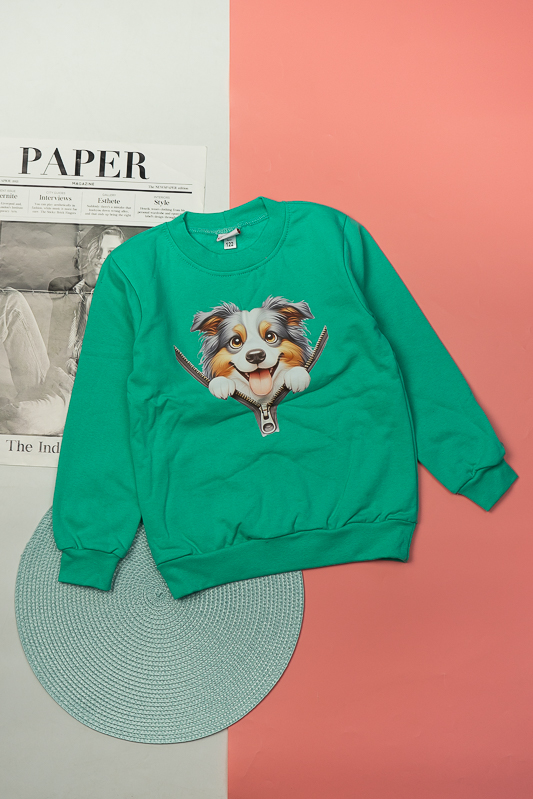 Джемпер дитячий 55-9618Н