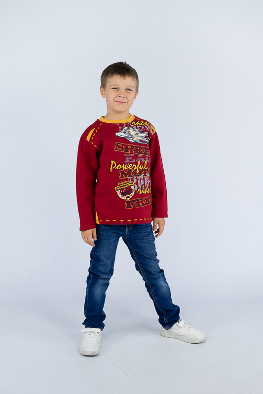 Джемпер для хлопчиків 801-011