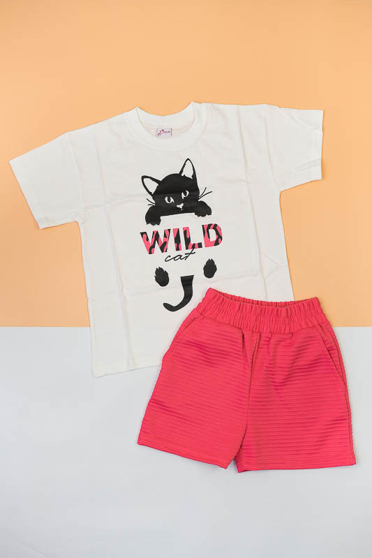 Комплект для дівчаток 900-300-1286